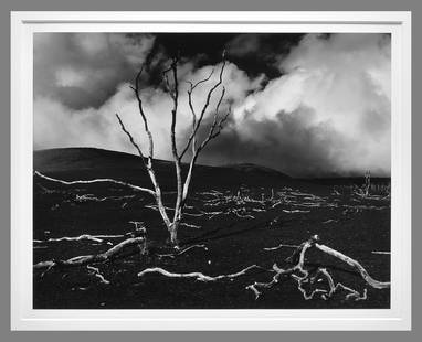 Brett Weston (1911 - 1993) Signed 1978 Volcano Aftermath  10.5"x13.5" Photograph - Classic Brett!!: An early image of Brett's Hawaii photographs. Plate #3 in Brett's book, "Hawaii" Brett Weston first began photographing in Hawaii in 1978, this is a very early example of his work from there. Hawaii b
