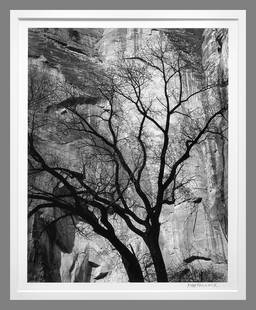Robb Hallock (1949 - ) Signed 2025  Rock Wall - Zion 11"x8.5" Photograph - Stunning!!: Classic image!! The look and feel of a Brett Weston at a price that won't break the bank!! This image was made during a recent road trip that took Hallock through Zion National Park in Utah. Taken in