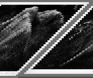 Richard Garrod (1924 - 2022) Signed Rocks - Volcano Ca. 7.5"x9.5" Classic Photograph: The look and feel of Edward Weston or Ansel Adams, but it's pure Garrod!! Gelatin silver photograph Mounted on 13"x16" museum board, signed under image with photographer's Monterey, Ca stamp on the ba