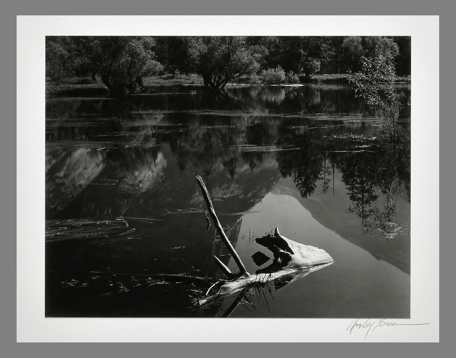Morley Baer (1916 - 1995) Signed Floating Log - Yosemite (?) 7.5"x9.5" Photograph - Rare!! (1 of 3)
