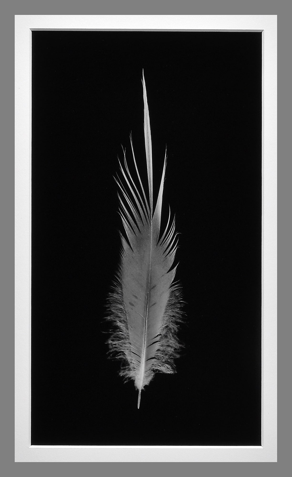 Paul Caponigro (1932 - 2024) Signed 2013 Invitation to Flight 13.25"x7.25" Photograph - Rare!! (1 of 4)