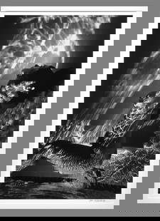 John Wimberley (1944 - ) Guardian of the Flame 1981 19"x12.5" Photograph - Estate Collection: The look and feel of a $7,500.00 Brett Weston!! Oversized John Wimberley Photograph!! Taken in 1981, printed in 1994 Gelatin silver photograph Signed under the image, stamped and titled on the back Mo