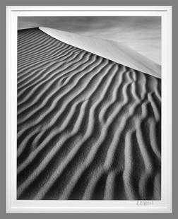 Robert Osborn (1938 - ) Signed Sand Dune, Oceano., Ca  13.25"x10.5" Photograph - Estate Collection: Stunning!! The look and feel of a Edward Weston "Dune" photograph without the $20,000.00 price tag! Gelatin silver photograph Darkroom made photograph mounted/matted to 16"x20" museum board Signed und