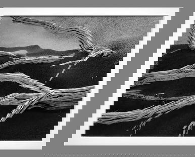 Huntington Witherill (1949 - ) Signed 1980s Driftwood in Black Sand 7"x9" Photograph - Stunning!: *Gelatin silver photograph - Taken in the 1980s, printed in 2000 Signed and dated on the back of the image Corner mounted and matted with 13"x16" museum board *Hybrid Contact Printing Process Beginnin
