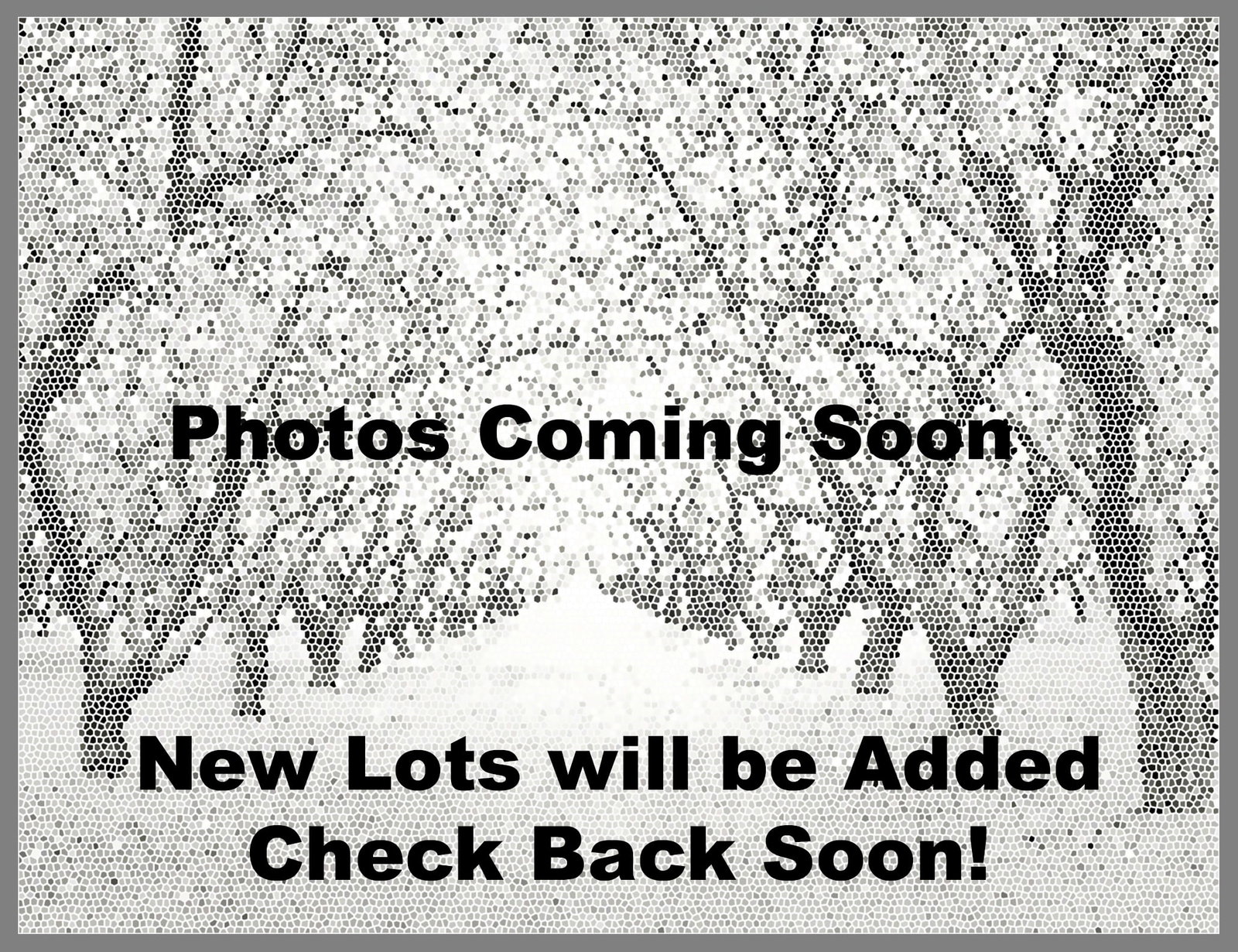 Ray Bidegain (1959 - ) Signed 2007 Classic Bidegain 3.5"x4.5" Platinum Photograph (1 of 2)