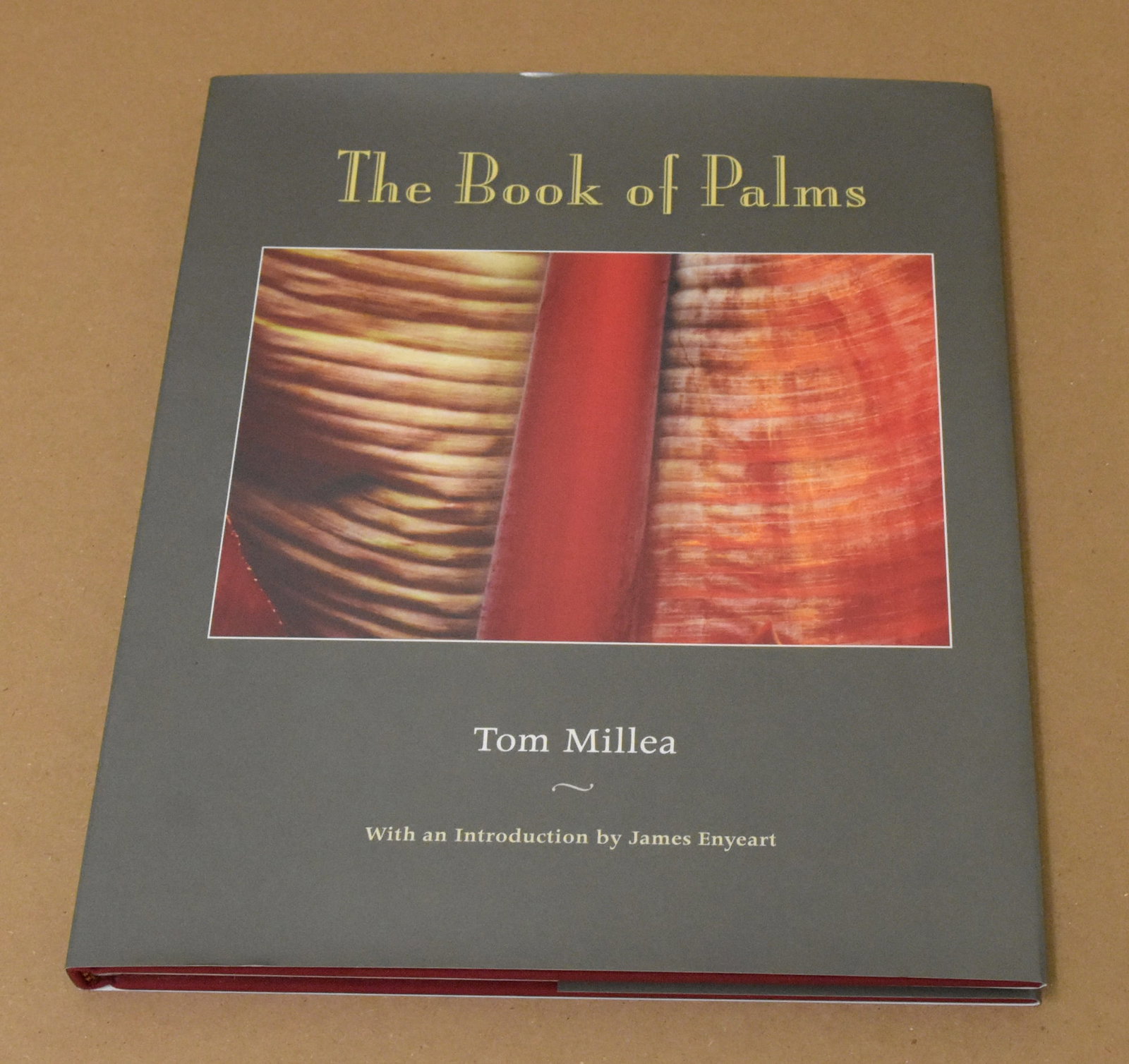 Tom Millea Rare Signed 2010 The Book of Palms - Hardcover - Excellent Condition (1 of 9)
