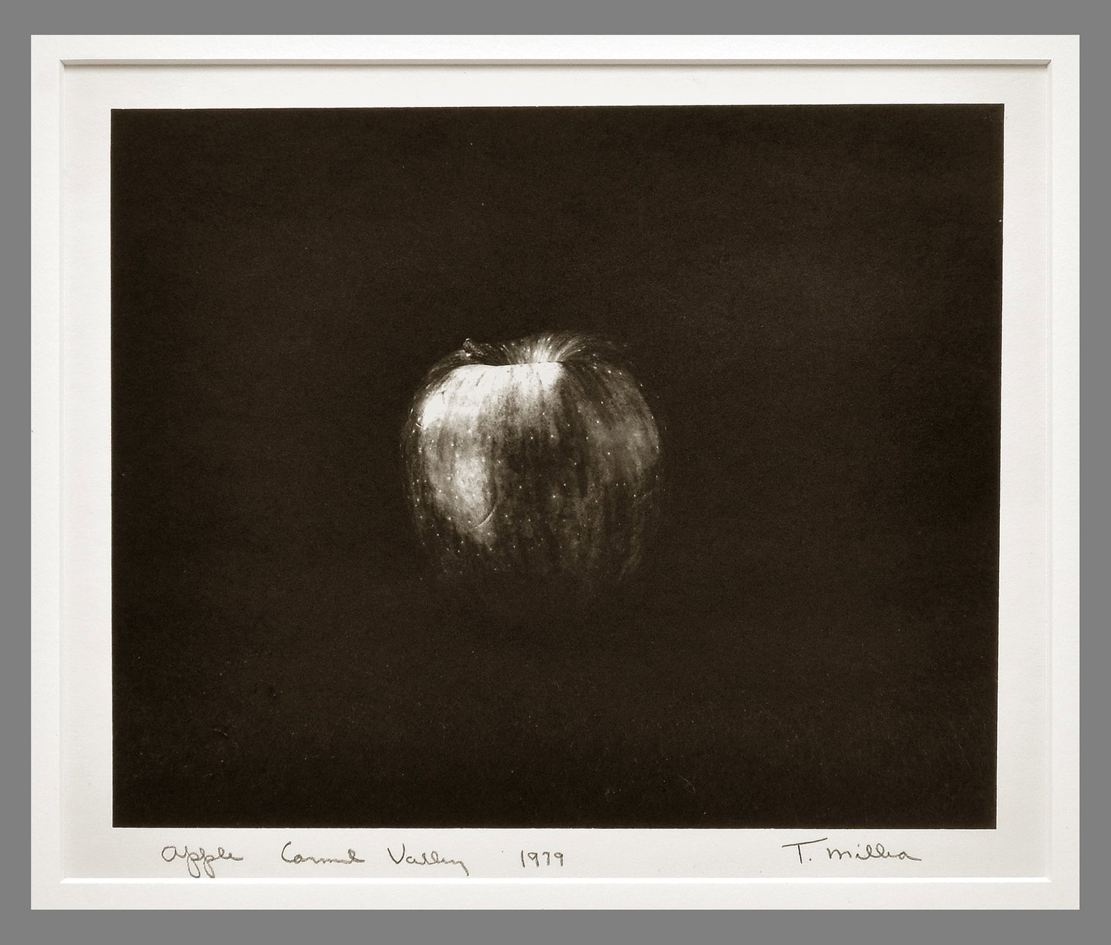 Tom Millea (1944 - 2015) Signed 1979 Apple - Carmel Valley 9"x7.5" Platinum Photograph - Stunning! (1 of 2)