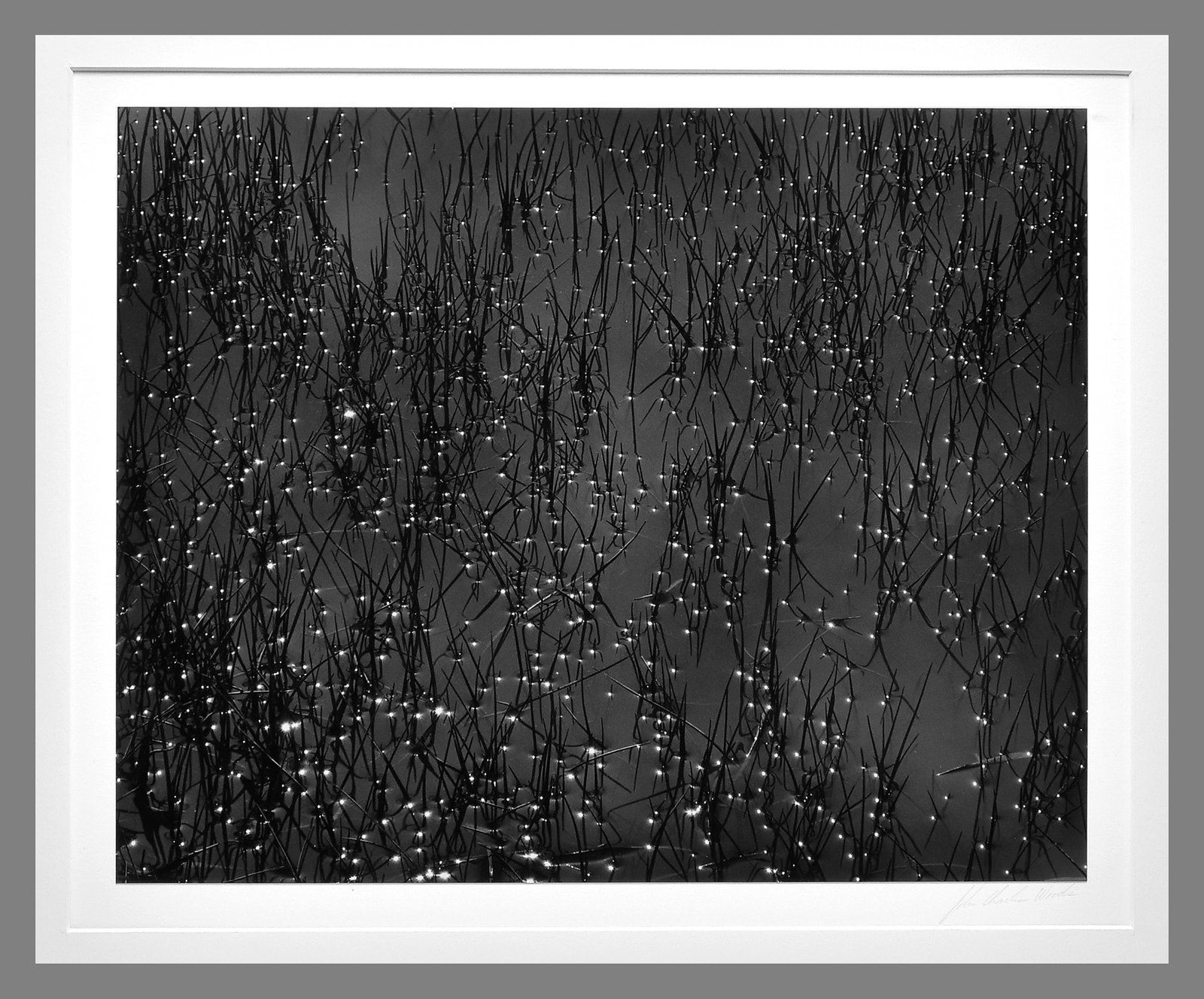 John Charles Woods (1952 -) Signed 1982 Pond Reflections - Utah 10.5"x13.5" Photograph (1 of 3)