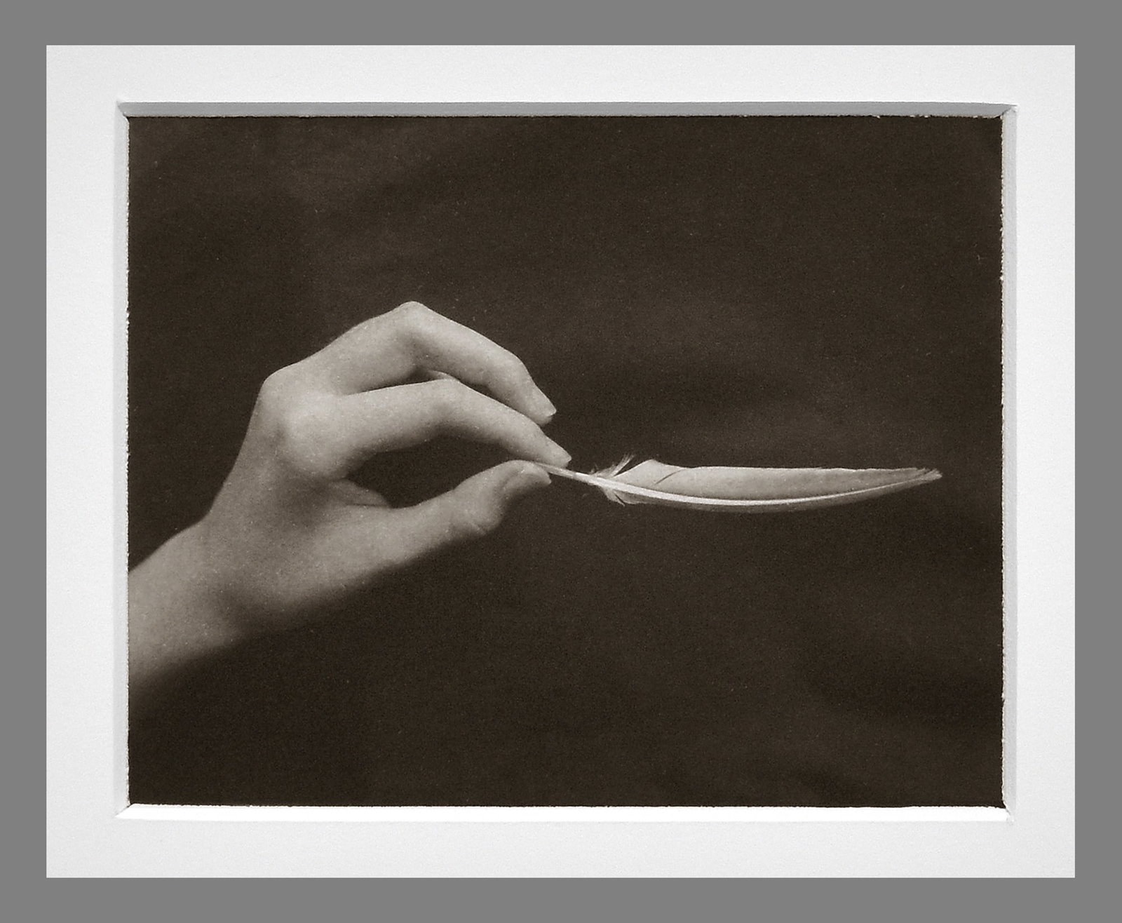 Ray Bidegain (1959 -) Signed 2019 "Lighten" 4"x5" Platinum Photograph (1 of 3)