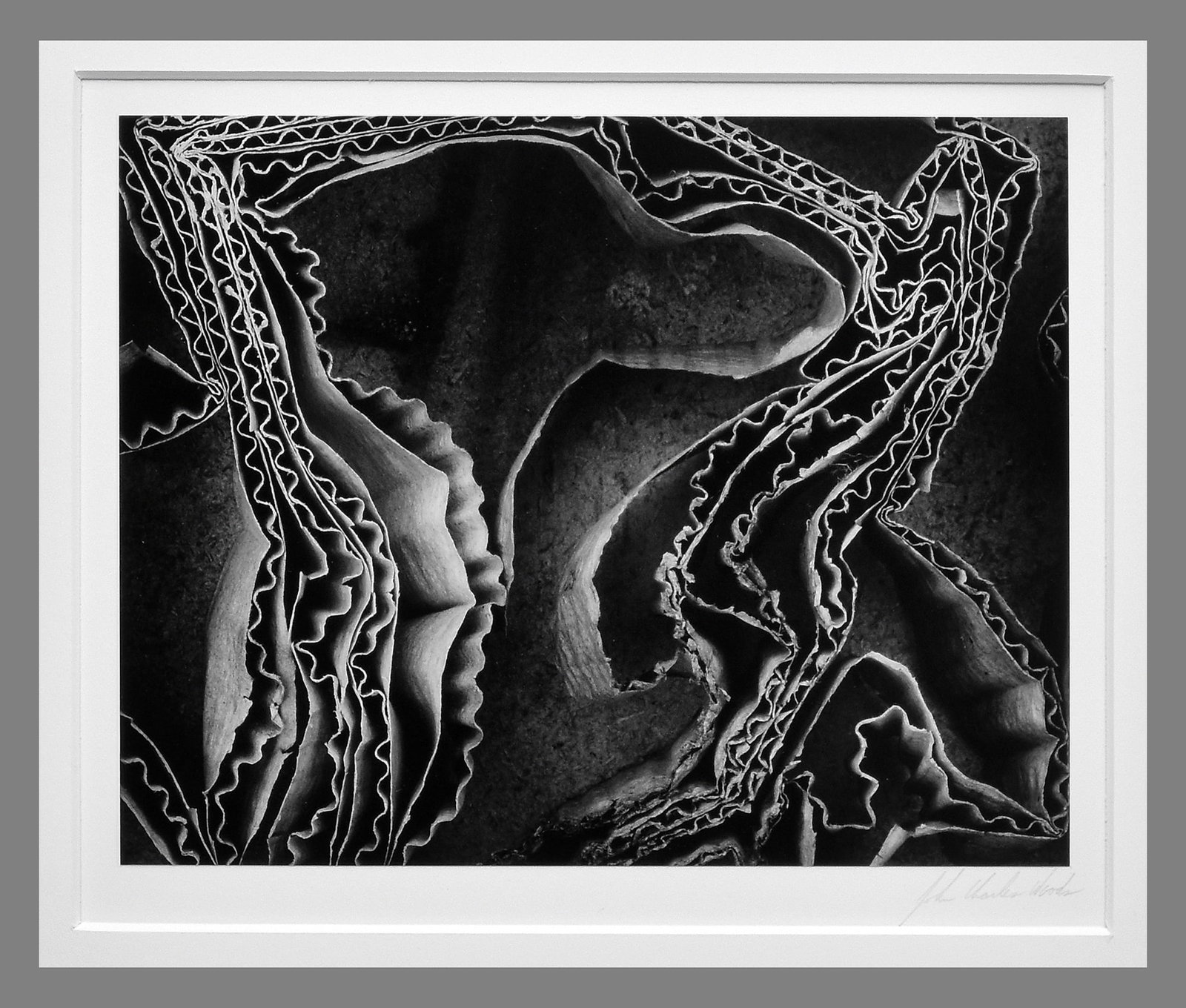 John Charles Woods (1952 -) Signed 1994 Torn Cardboard - Moss Landing, Ca 7.5"x9.25" Photograph: Collectors familiar with Brett Weston will recognize the aesthetic immediately: bold form, refined abstraction, and masterful gelatin silver printing. John Charles Woods not only shared that visual la