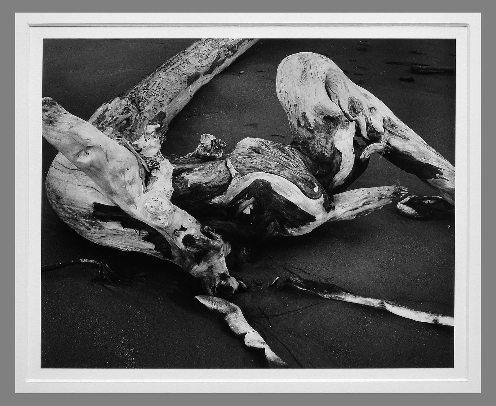 Brett Weston (1911-1993) Signed 1976 Driftwood on a Black Sand Beach - Oregon 10.5"x13" Photograph (1 of 2)