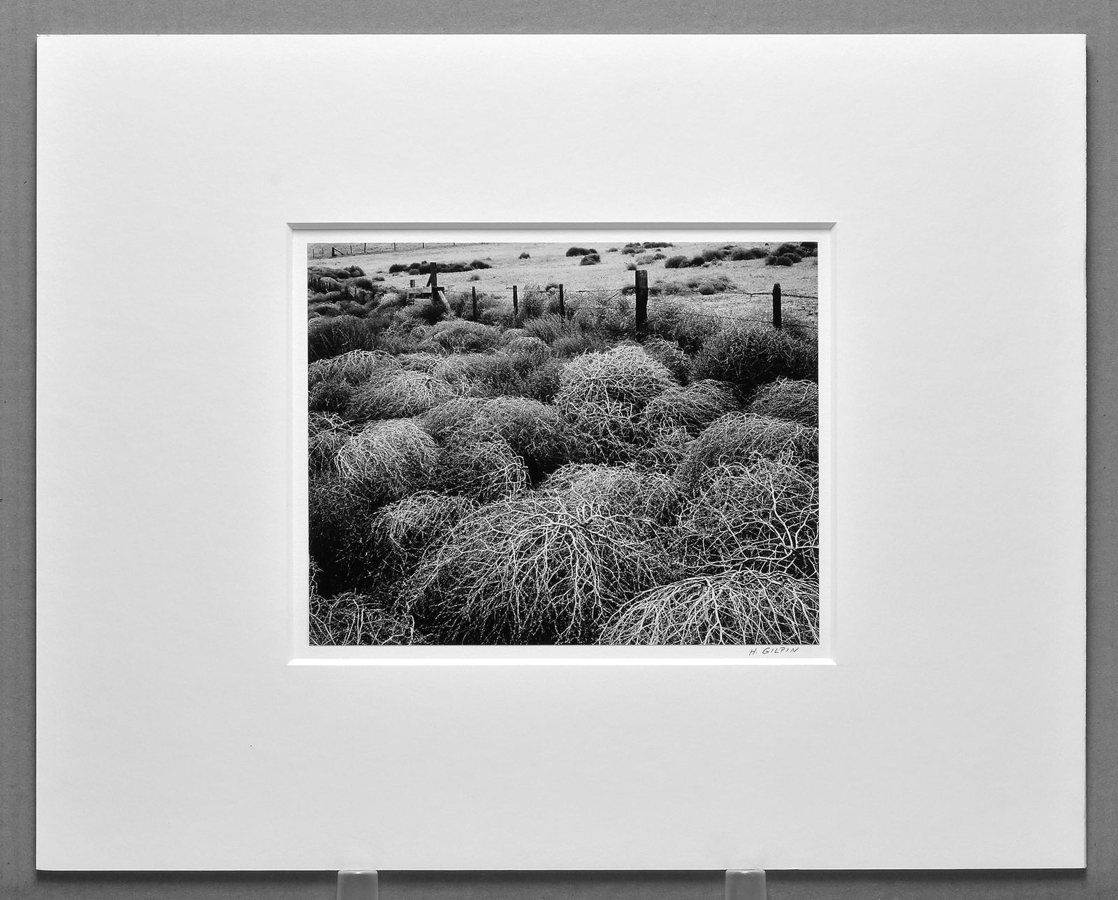 Henry Gilpin (1922-2011) Signed 1962 Tumbleweeds 7.75"x9.5" Photograph - Early Rare Gilpin!: You won't find many Henry Gilpin photographs taken in the early 1960s come on the market other than his famous Highway One image, which was taken in 1965 (printed later). Gelatin silver photograph Sig