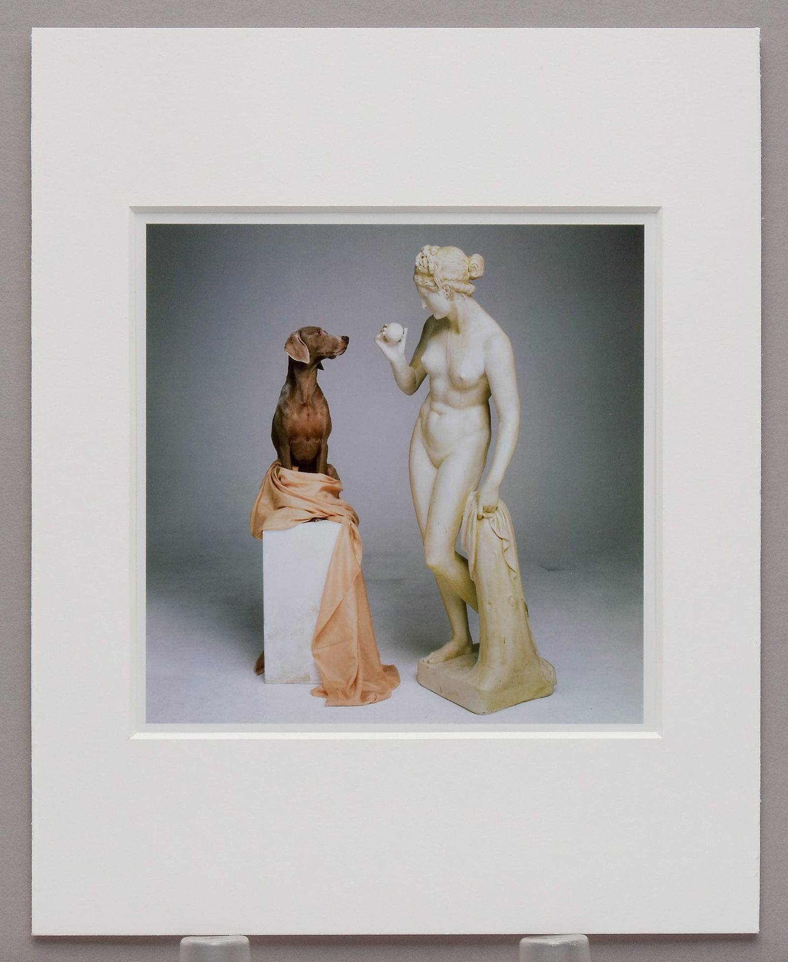 William Wegman (1943-) Signed 2204 "On Base" 5.5"x5.5" Photograph (1 of 3)