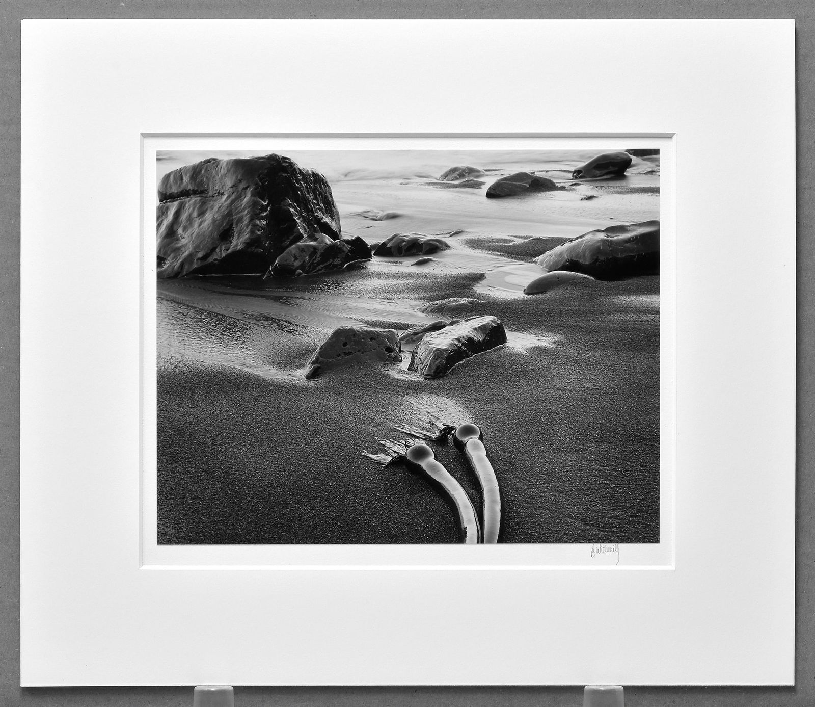 Huntington Witherill (1949-) Signed 1979 Kelp & Rocks - Big Sur 7.5"x9.75" Photograph (1 of 3)