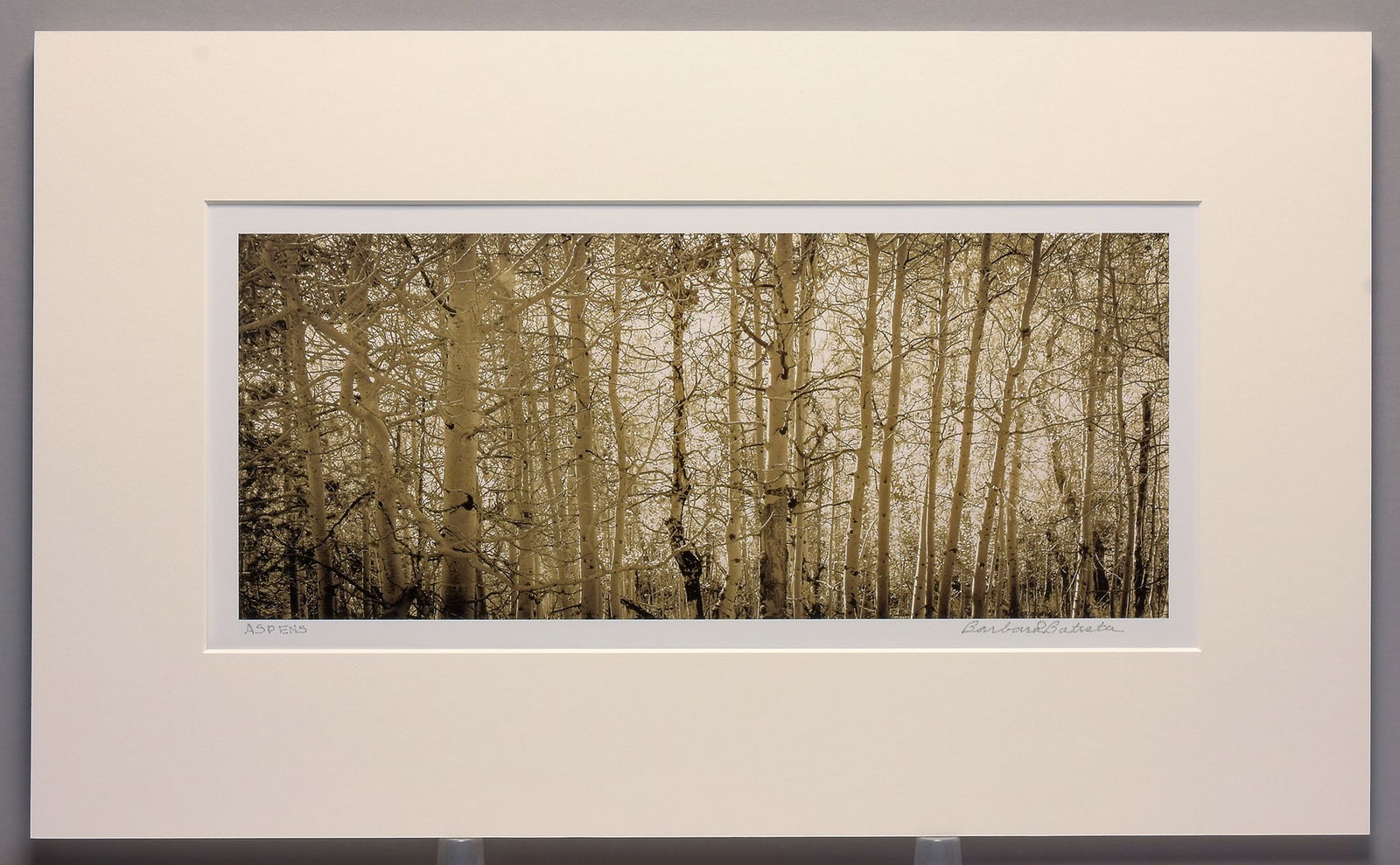 Barbara Moon Batista (1947-) Signed 2019 Aspens 6.5"x15" Photograph: Barbara Moon Batista is a California-based photographer whose work is shaped by a lifetime immersed in art, photography, and storytelling. Born in postwar Los Angeles, her early years were marked by f