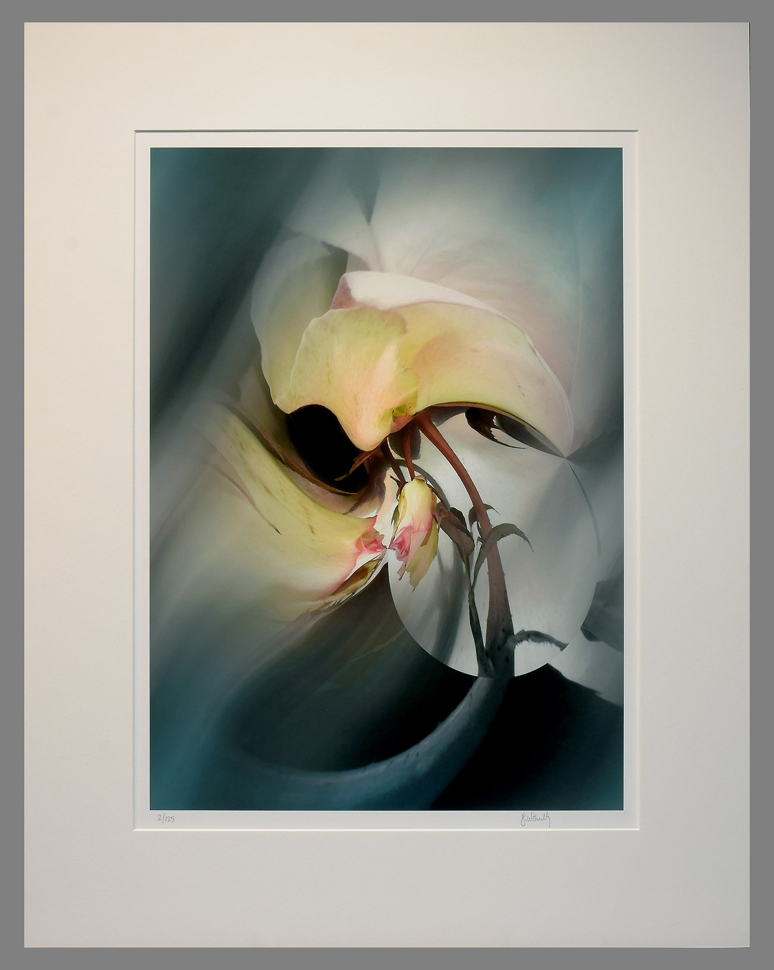 Huntington Witherill (1949-) Signed 2002 Roses #2 - 20"x14" Photograph (1 of 3)