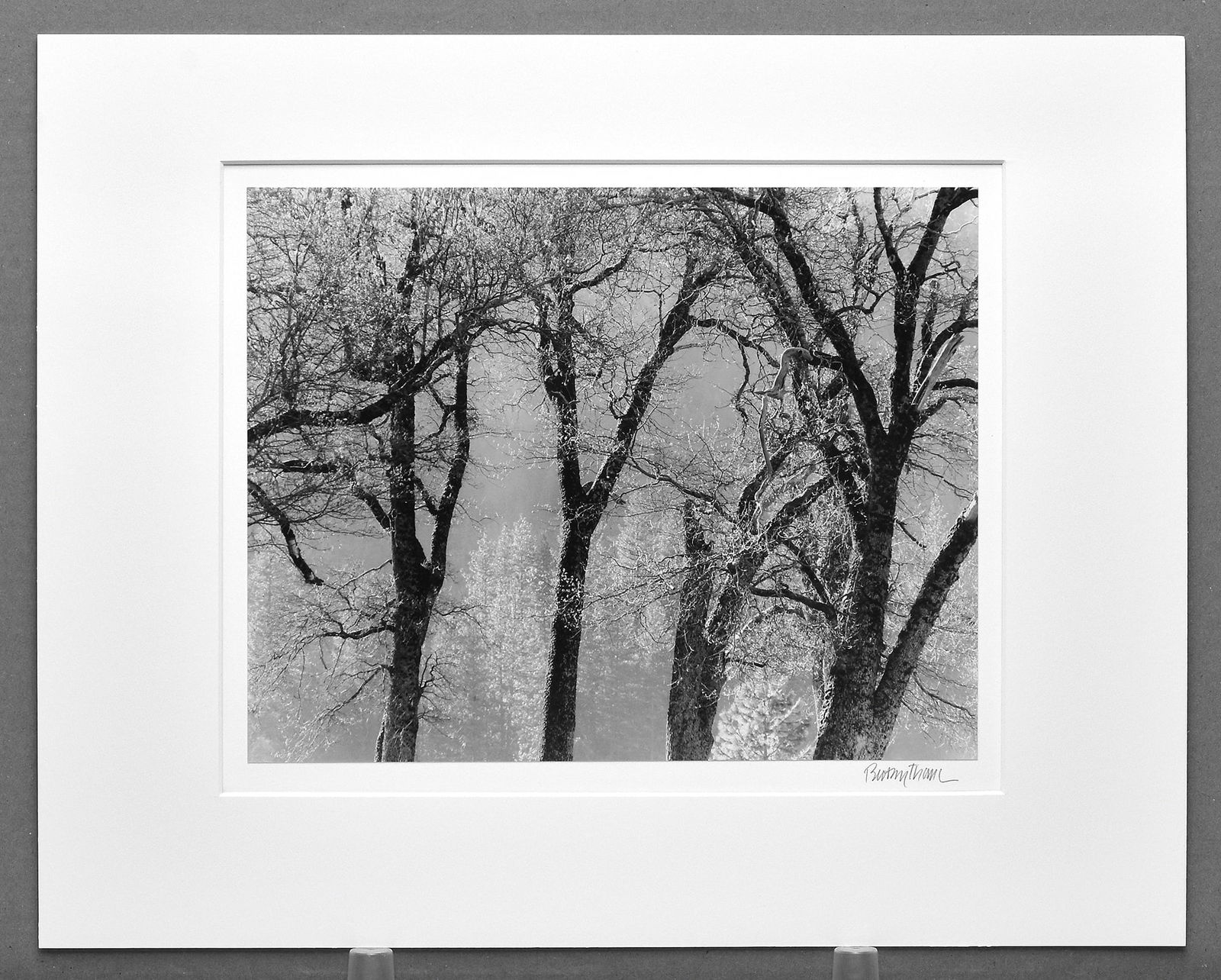 Brett Thomas (1955- ) Signed 2015 Black Oaks - Yosemite 10"x12.75" Photograph: A classic Yosemite image with the timeless look collectors associate with photographers like Ansel Adams, Roman Loranc, and John Sexton...but offered here at a bidder-friendly opening. If you’ve bee