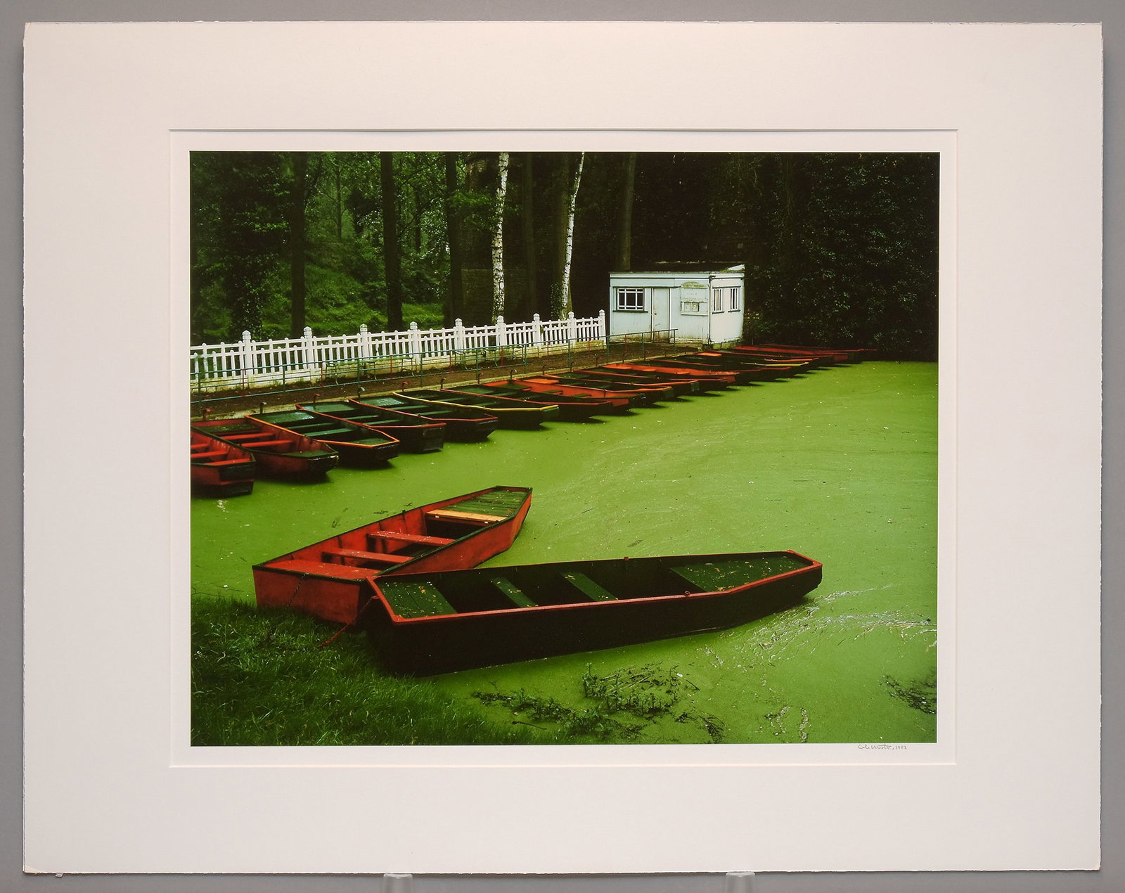 Cole Weston (1919-2003) Punts Les Quesnoy, France, 1983 Cibachrome Photograph 15.25"x19.5" (1 of 4)