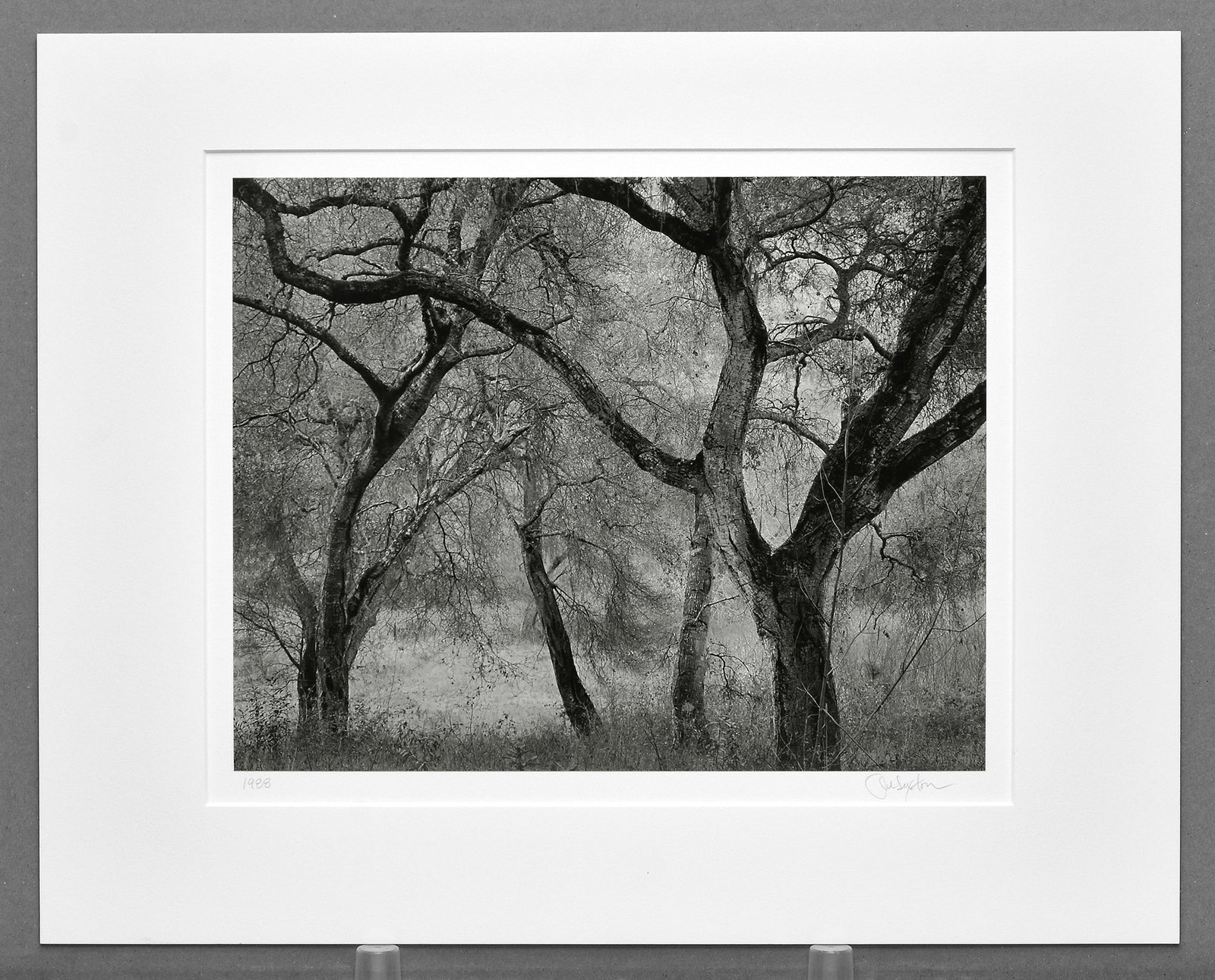 John Sexton (1953-) Oaks at Dusk, Carmel Valley, Ca, 1988 Photograph 10.25"x13." (1 of 3)
