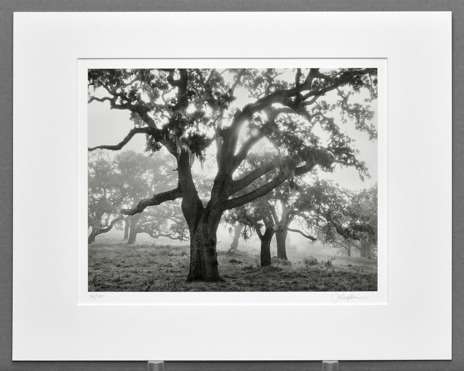 John Sexton (1953-) Oaks in Fog, Sunrise, Carmel Valley, Ca, 1995 Photograph 10.25"x13." #61/100 (1 of 3)