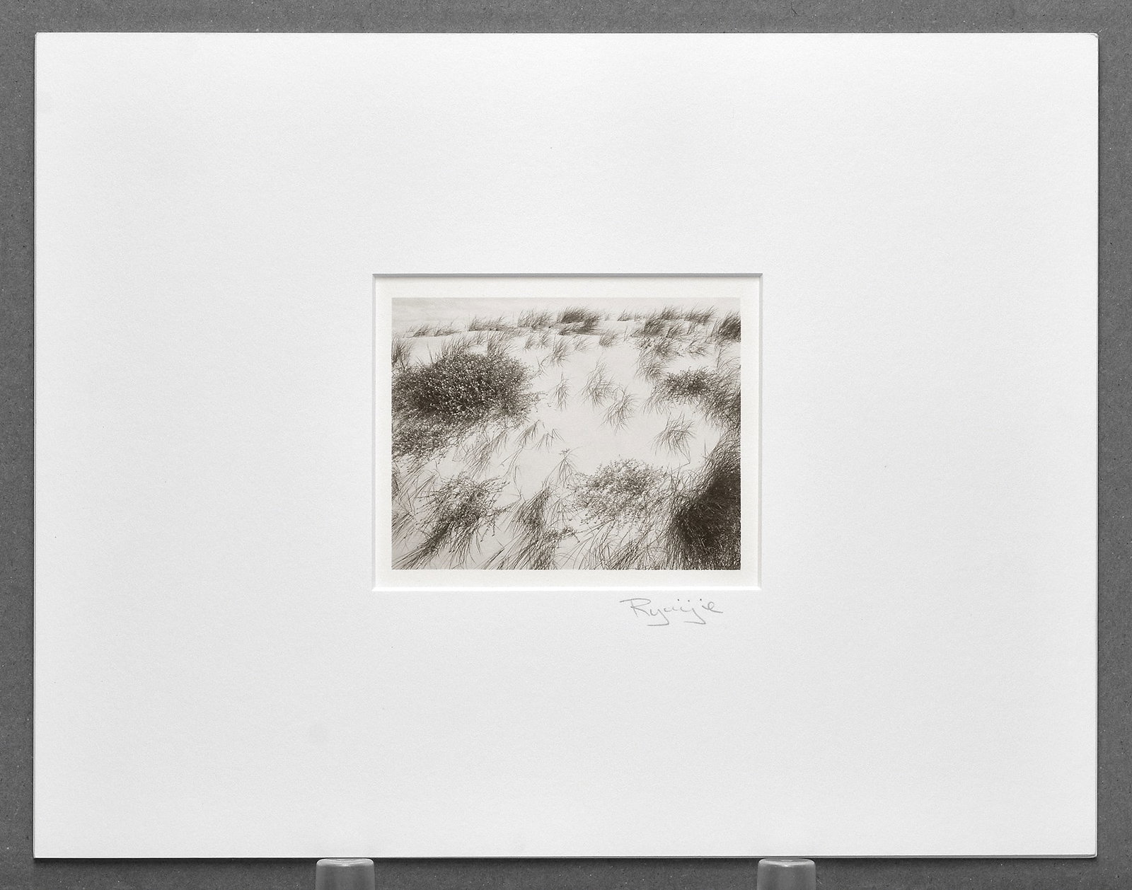 Ryuijie (1950-) Grasses, Oceano Dunes, Ca, 2005 Platinum Photograph 3.5"x4.5" (1 of 3)