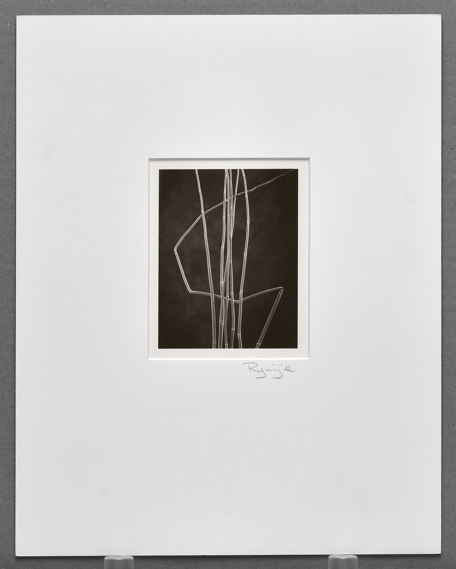 Ryuijie (1950-) Horsetails - Still-Life,2000 Platinum Photograph 4.5"x3.5": An elegant platinum still-life by Ryuijie, transforming simple natural forms into a refined study of light, texture, and balance. Horsetails – Still-Life (2000) reflects Ryuijie’s quiet, meditativ
