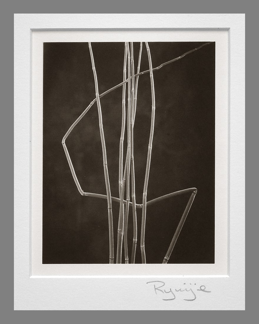 Ryuijie (1950-) Horsetails - Still-Life,2000 Platinum Photograph 4.5"x3.5": An elegant platinum still-life by Ryuijie, transforming simple natural forms into a refined study of light, texture, and balance. Horsetails – Still-Life (2000) reflects Ryuijie’s quiet, meditativ