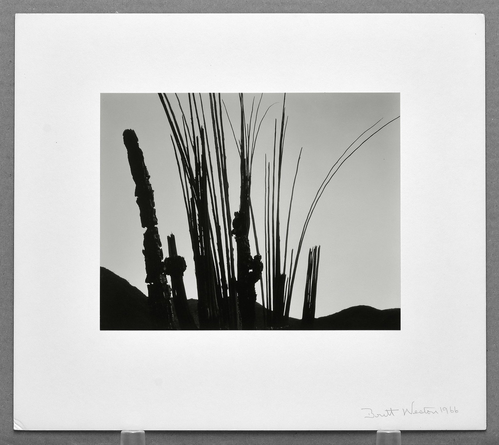 Brett Weston (1911-1993) Cactus And Mountains, Baja, 1966 Photograph 7.5"x9.5" (1 of 2)