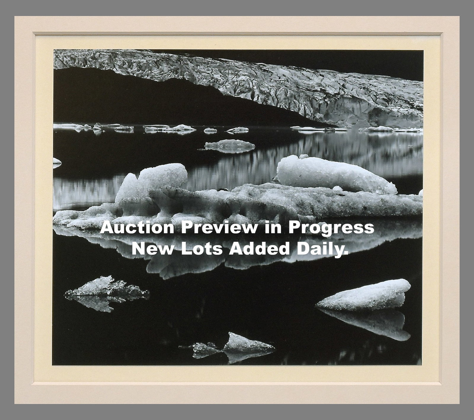 Auction Preview in Progress – New Lots Added Daily (1 of 1)