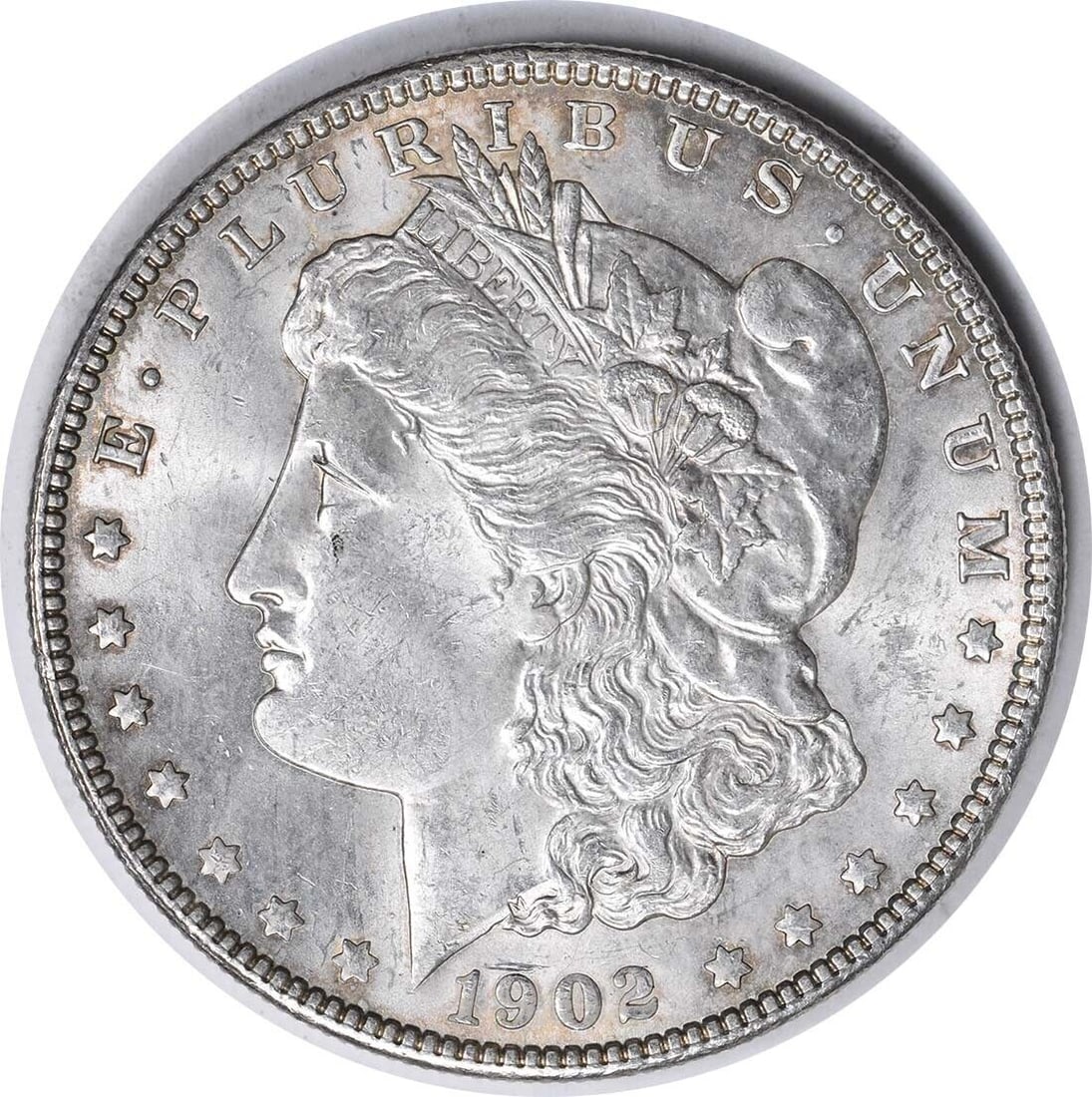 1902 VAM 4 Morgan Dollar Doubled Ear BU (1 of 1)
