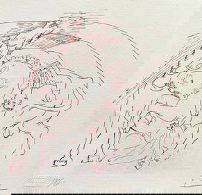 Pablo Picasso Lithograph COA Original Signed (1 of 14)