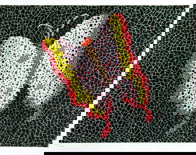 Yayoi Kusama, Lithograph Mori Art Museum Coa Numbered Pencil: Yayoi Kusama "Butterfly" The lithograph was printed in 2011 by the Mori Art Museum in 200 hand-numbered copies. The work measures 30 x 38 cm Mori Art Museum, Tokyo, Japan. Yayoi Kusama "Butterfly" The