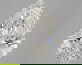 Pear 3.14Ct G Vvs2 - Loose Lab Diamond