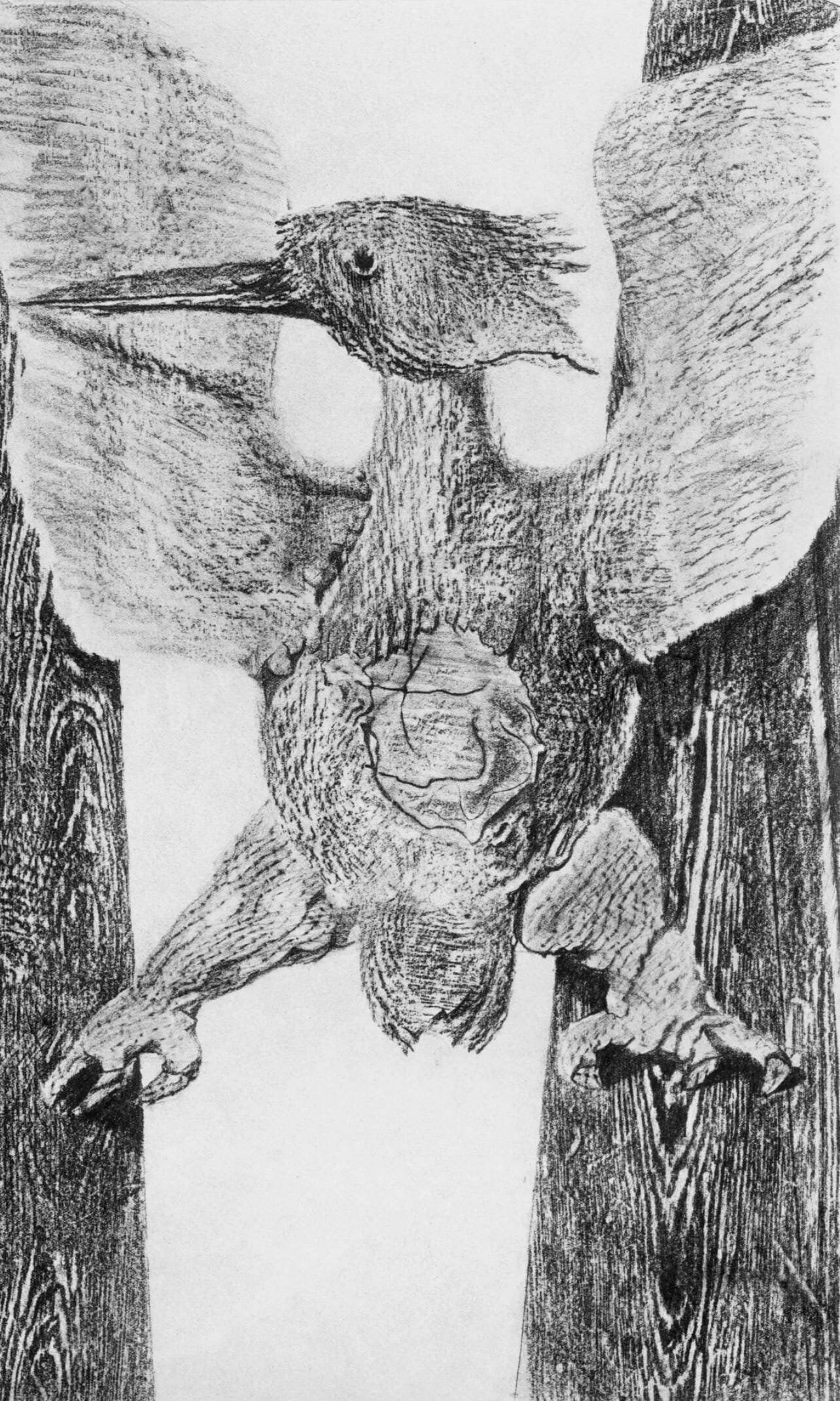 Max Ernst, Composition (Spies/Leppien 222), Histoire Naturelle, Lithograph: Collotype from frottage on vlin paper. Paper size: 19.625 x 12.75 inches. Excellent condition. Unsigned and unnumbered, as issued. Notes: From the album, Max Ernst, Histoire Naturelle, 1972. Published