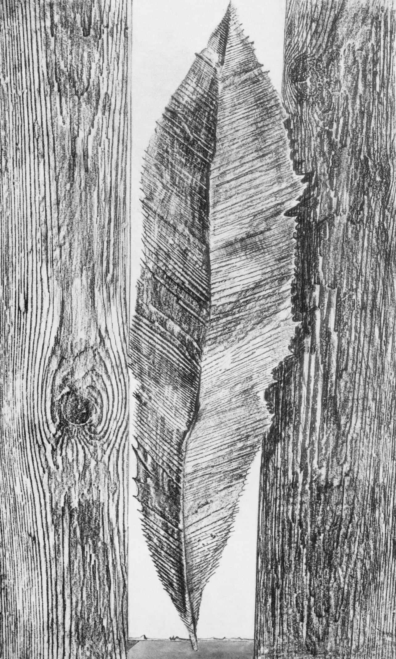 Max Ernst, Composition (Spies/Leppien 222), Histoire Naturelle, Lithograph: Collotype from frottage on vlin paper. Paper size: 19.625 x 12.75 inches. Excellent condition. Unsigned and unnumbered, as issued. Notes: From the album, Max Ernst, Histoire Naturelle, 1972. Published