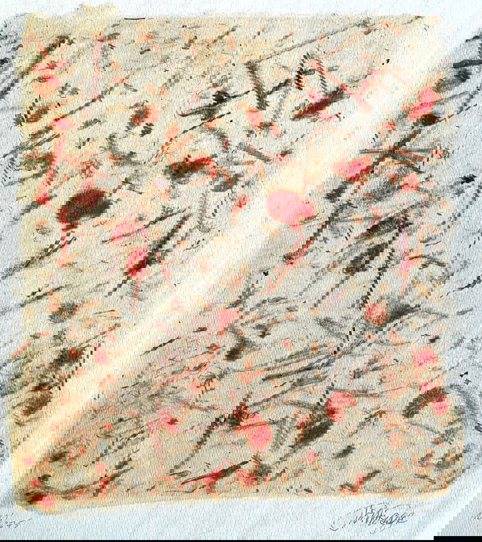 John Cage Lithograph 275Ex (Paul Mccartney Yoko Ono /Bob Dylan): Brand: Unbranded John Cage Lithograph 275ex (Paul McCartney Yoko Ono /Bob Dylan) John Cage "Medicine drawings " Lithograph of an work by John Cage, printed in 1997 The work measures 30 x 40 cm 275 han