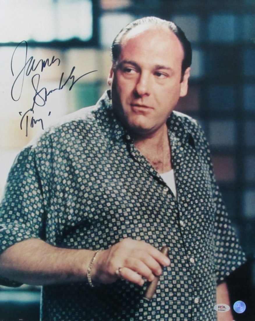 James Gandolfini Signed/Inscribed "Tony" 16X20 Photo "Sopranos" Psa/Dna 192802: Industry: Television Object Type: Photo Original/Reproduction: Original Product Disclaimer: Not affiliated with any team or league. Signatures are unverified unless a certificate is stated. For inquir