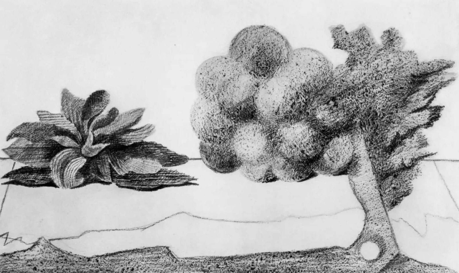 Max Ernst, Composition (Spies/Leppien 222), Histoire Naturelle, Lithograph: Collotype from frottage on vlin paper. Paper size: 12.75 x 19.625 inches. Excellent condition. Unsigned and unnumbered, as issued. Notes: From the album, Max Ernst, Histoire Naturelle, 1972. Published