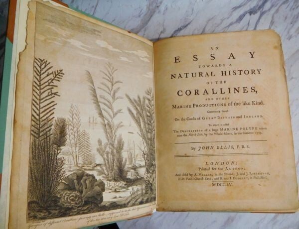 1755 John Ellis An Essay Towards A Natural History Of The Corallines 1St Edition (1 of 10)
