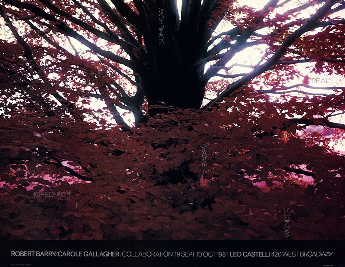 Robert Barry Hoped For... " Poster Pop Art Red Black Tree: Artist: Robert Barry Brand: Barry Robert Country/Region Of Origin: USA Exact Year: 1981 Height: 22.75 Item Height: 22.75 Item Width: 29.5 Style: Photography Subject: Floral Type: Offset Lithograph Yea