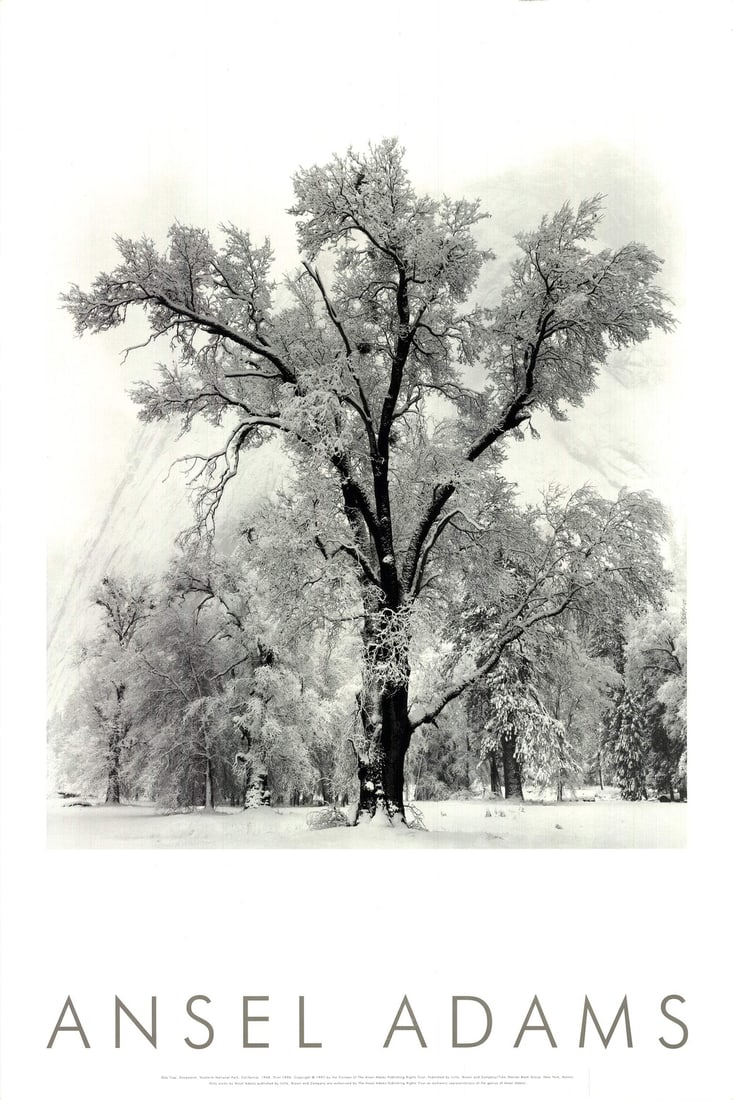 Ansel Adams Oak Tree Snowstorm Yosemite National Park California () 36" X (1 of 4)