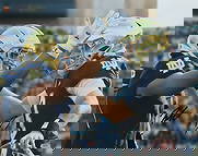 Jaden Greathouse/Riley Leon Autographed 16x20 Photo Notre Dame PSA 195357: Jaden Greathouse/Riley Leon Autographed 16x20 Photo Notre Dame PSA 195357 Autographed 16x20 photo of Notre Dame by Jaden Greathouse and Riley Leon, authenticated by PSA (PSA 195357), original genuine