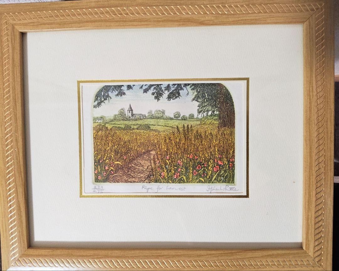 Stephen Whittle "Ripe for Harvest" Etching Signed Limited 239/275 Framed UK Land (1 of 4)