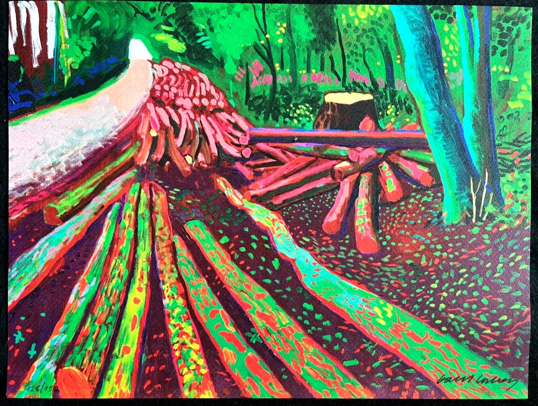 & David Hockney Lithograph COA Signed op Numbered A Hand Limited (1 of 13)