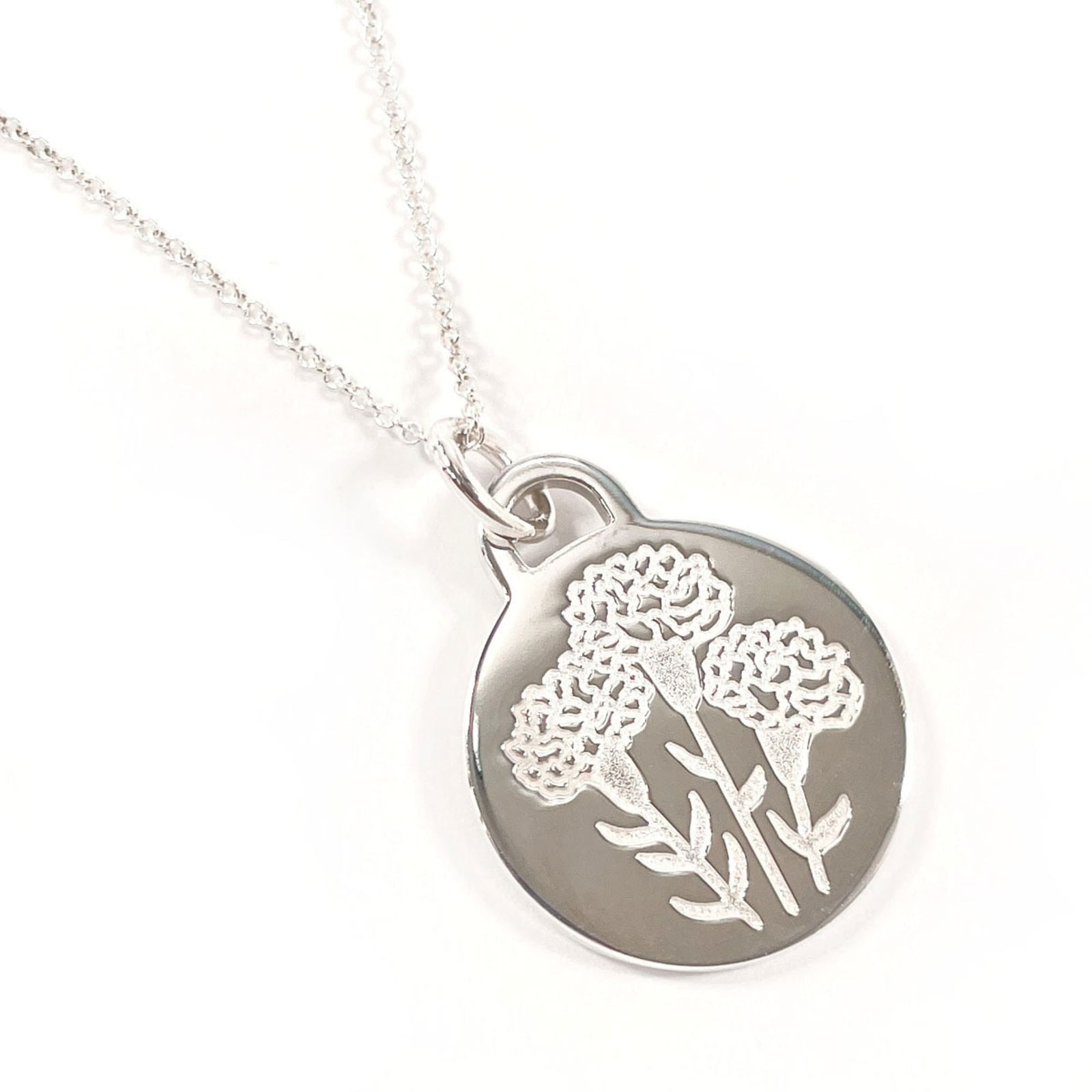 Tiffany & Co. 2022 Women's Necklace, 925 Sterling Silver (1 of 6)