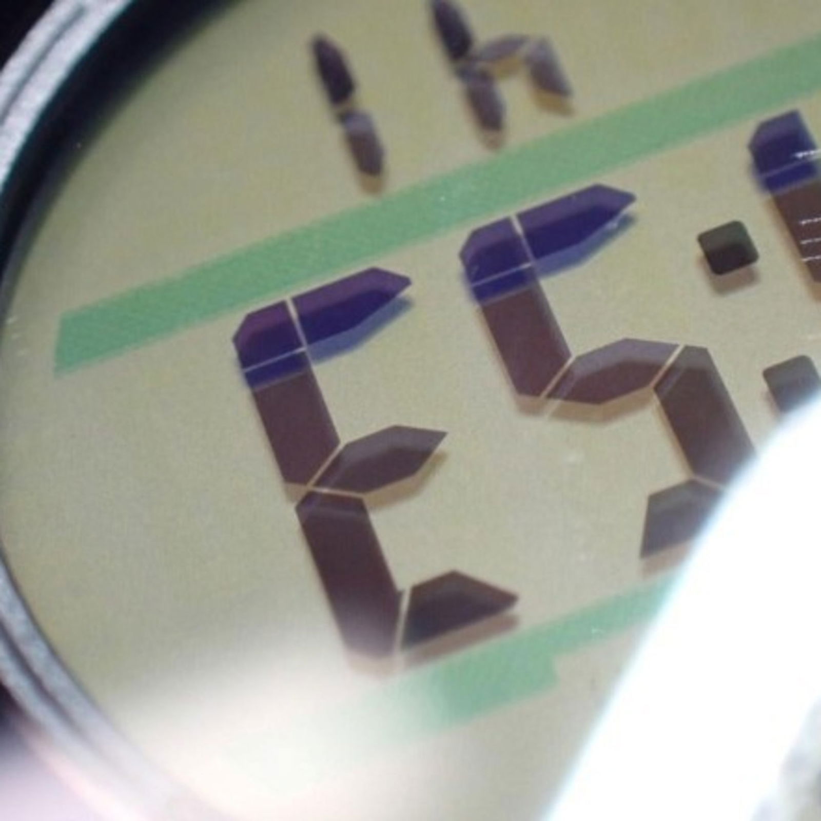 Wristwatch Casio - 8