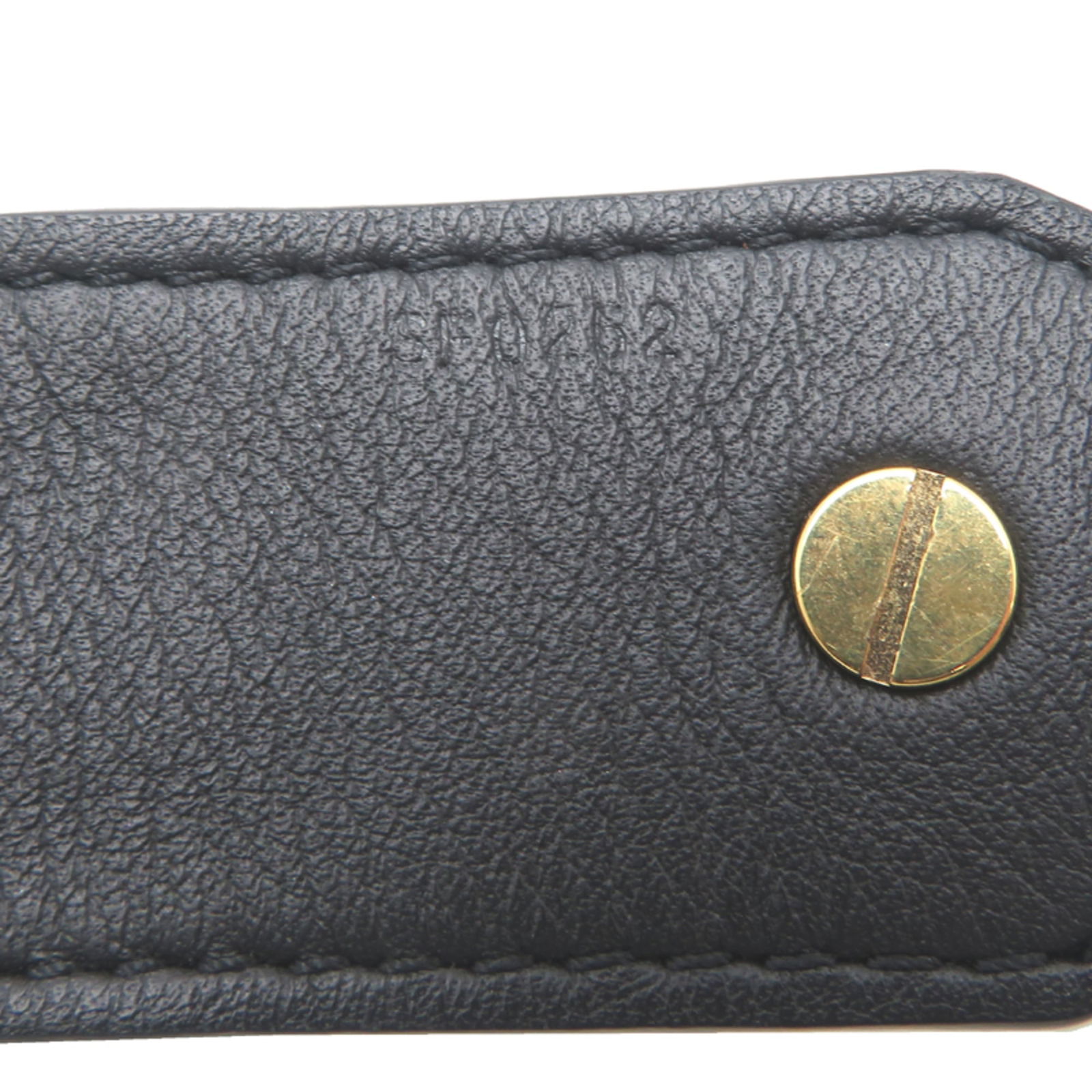 Monogram Louis Vuitton Strap - 6