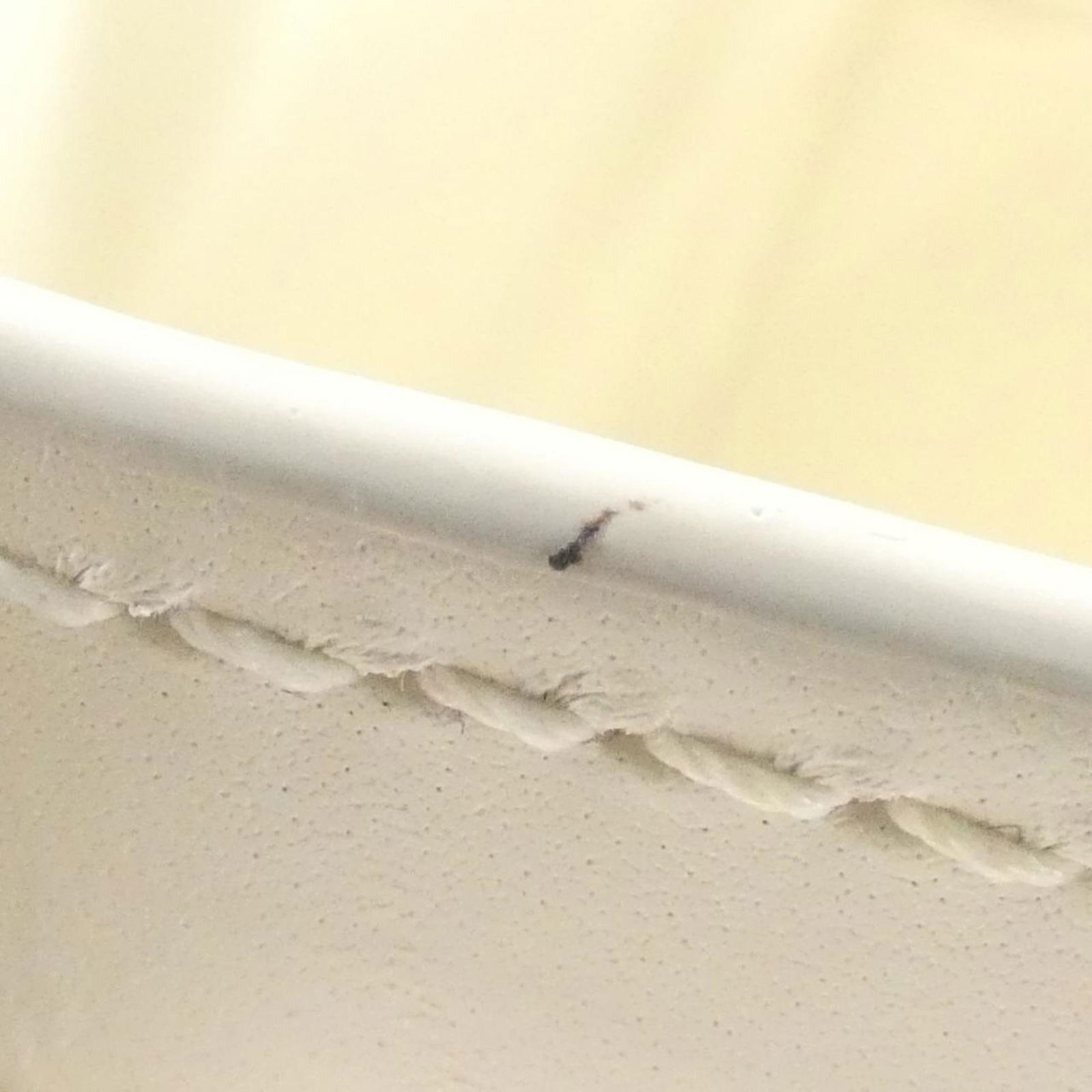 Leather Loewe Shoulder Bag - 4