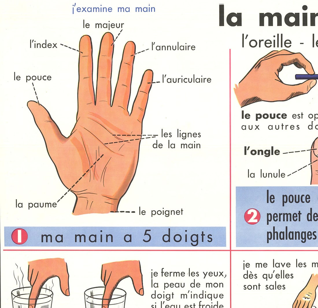 Contemporar EMILE DEYROLLE La Main- La Peau 29.5" x 35.5" Offset Lithograph 1960 - 2