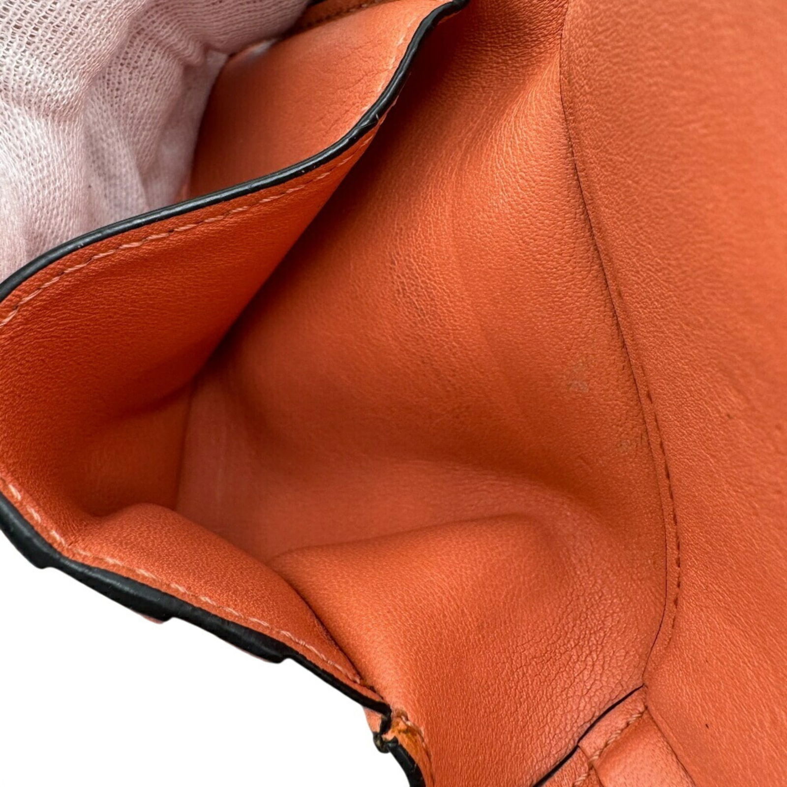 Leather Loewe Wallet (Tri-Fold) - 12